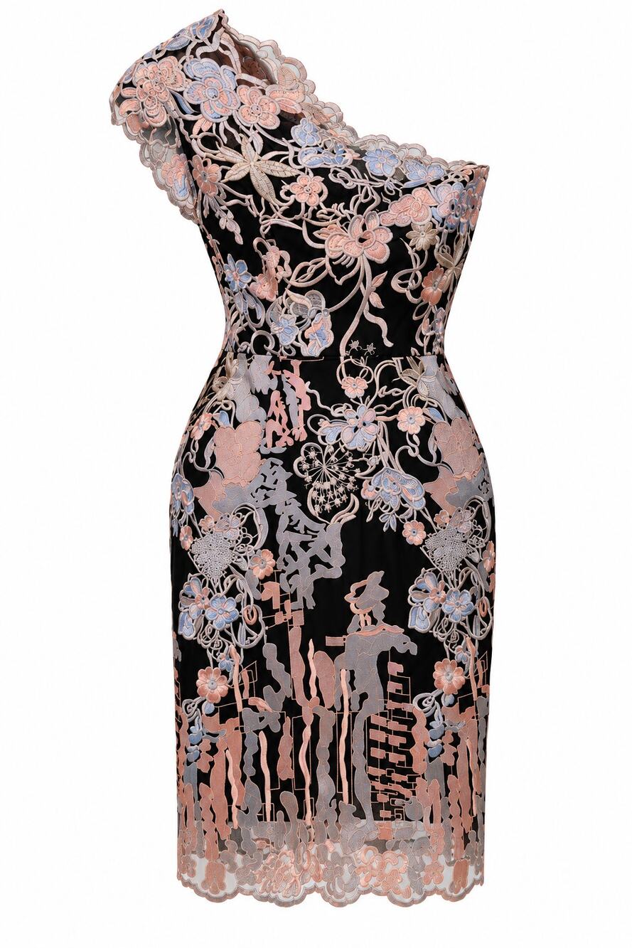 Bronx and Banco Tokyo One Shoulder Dress Embroidered Revolve Floral Size S or 4